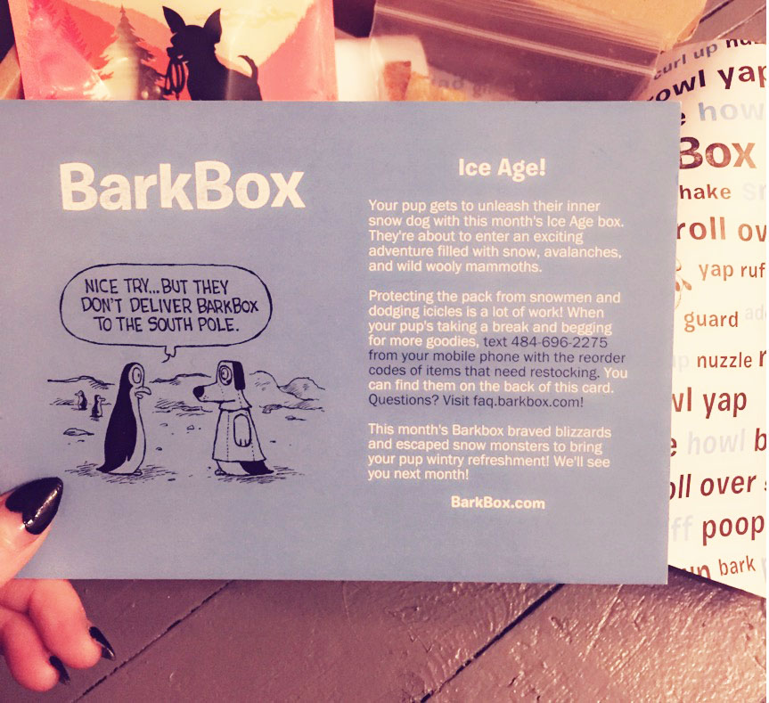 barkbox package