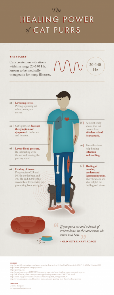 Cat-Purr-Therapeutic-Infographic